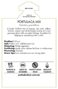 Portulaca Mixed label back usage