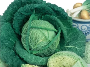 cabbage savoy king veggies