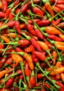 Chilli Birdseye vegetable home garden