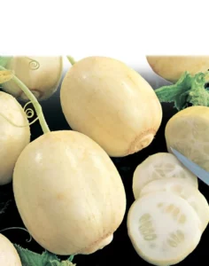 Cucumber Crystal Apple vegetable garden