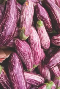 Eggplant Striped Lebanese home vegetable garden seedling