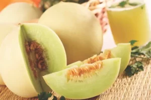Honeydew Melon fruit home garden