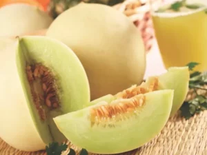 Honeydew Melon fruit home garden