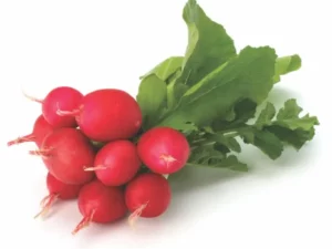 radish garden seedling