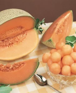 Rockmelon fruit home garden