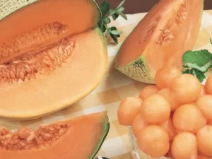 Rockmelon fruit home garden