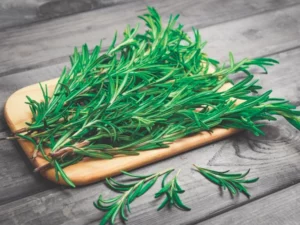 rosemary herb garden