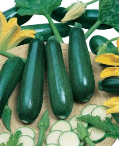 Zucchini Blackjack vegetable home garden