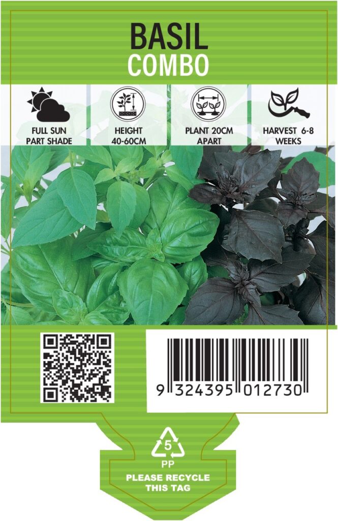 Basil Combo – A Flavorful Variety for Every Dish - Potted Colour