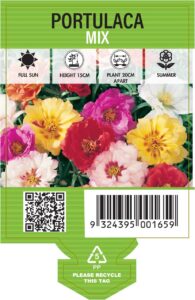 Portulaca Mixed label front prenium flower