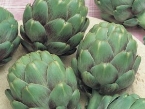 Artichoke Green Globe