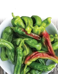 Chilli Dragon vegetable home garden