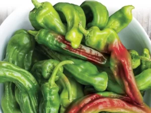 Chilli Dragon vegetable home garden