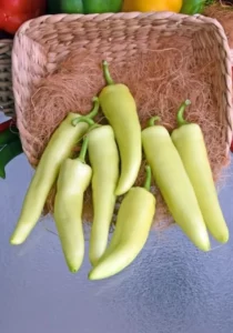 Chilli Hungarian Hot Wax vegetable garden home
