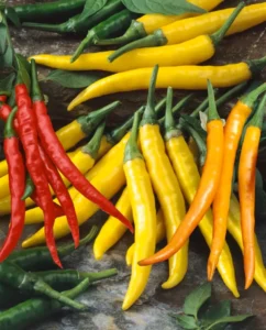 Chilli Siam home vegetable garden