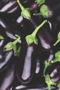 Eggplant Supreme vegetable garden home