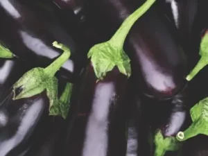 Eggplant Supreme vegetable garden home