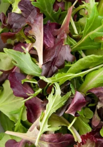Lettuce Tuscan Blend vegetable salad