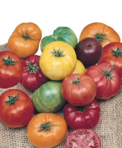 Tomato Heirloom Mix garden veggie home