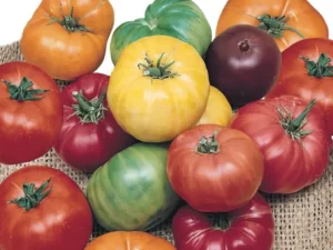Tomato Heirloom Mix garden veggie home