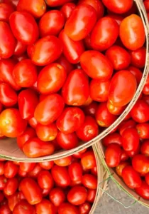 Tomato Roma home vegetable garden