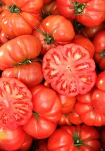 Tomato Rouge De Marmande slice cutted