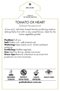 Tomato Ox Heart label back usage