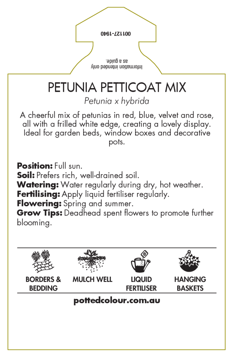PETUNIA SET