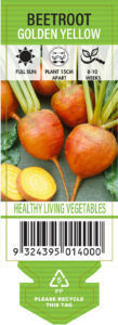 Beetroot Golden Yellow label front vegetable home garden seedling summer collection