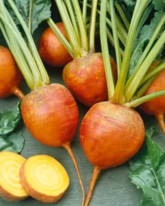 Beetroot Golden Yellow garden vegetable home