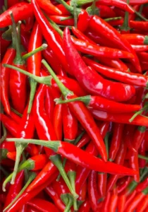 Chilli Cayenne Red home vegetable garden