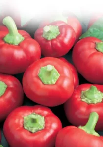 Chilli Mexibelle vegetable