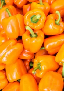 Chilli Tango Orange home garden vegetable