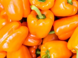 Chilli Tango Orange home garden vegetable